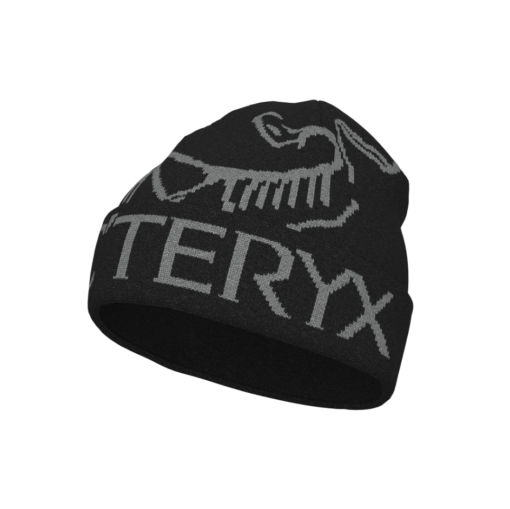 Bird Word Toque "Black/Void" - Arcteryx