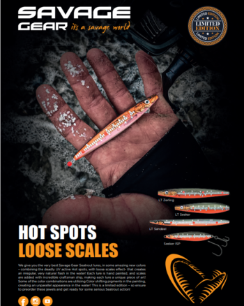 gallery-8254-for-1637919