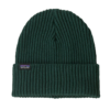 Fishermans Rolled Beanie One Size "Cascade Green" - Patagonia