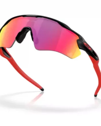 gallery-9061-for-0009208