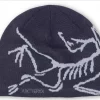 Bird Head Toque "Black Sapphire / Alpine"  One Size - Arcteryx