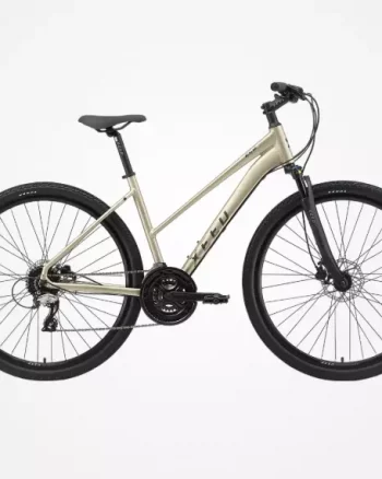 Xeed ECO 2 MIX "Matte Champ. Met."