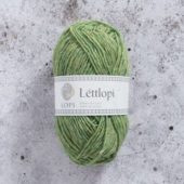 LETTLOPI  1406 Spring Green Heather