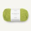 ALPAKKA  9825 Sunny Lime