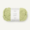 TYKK LINE  9523 Lime Punch