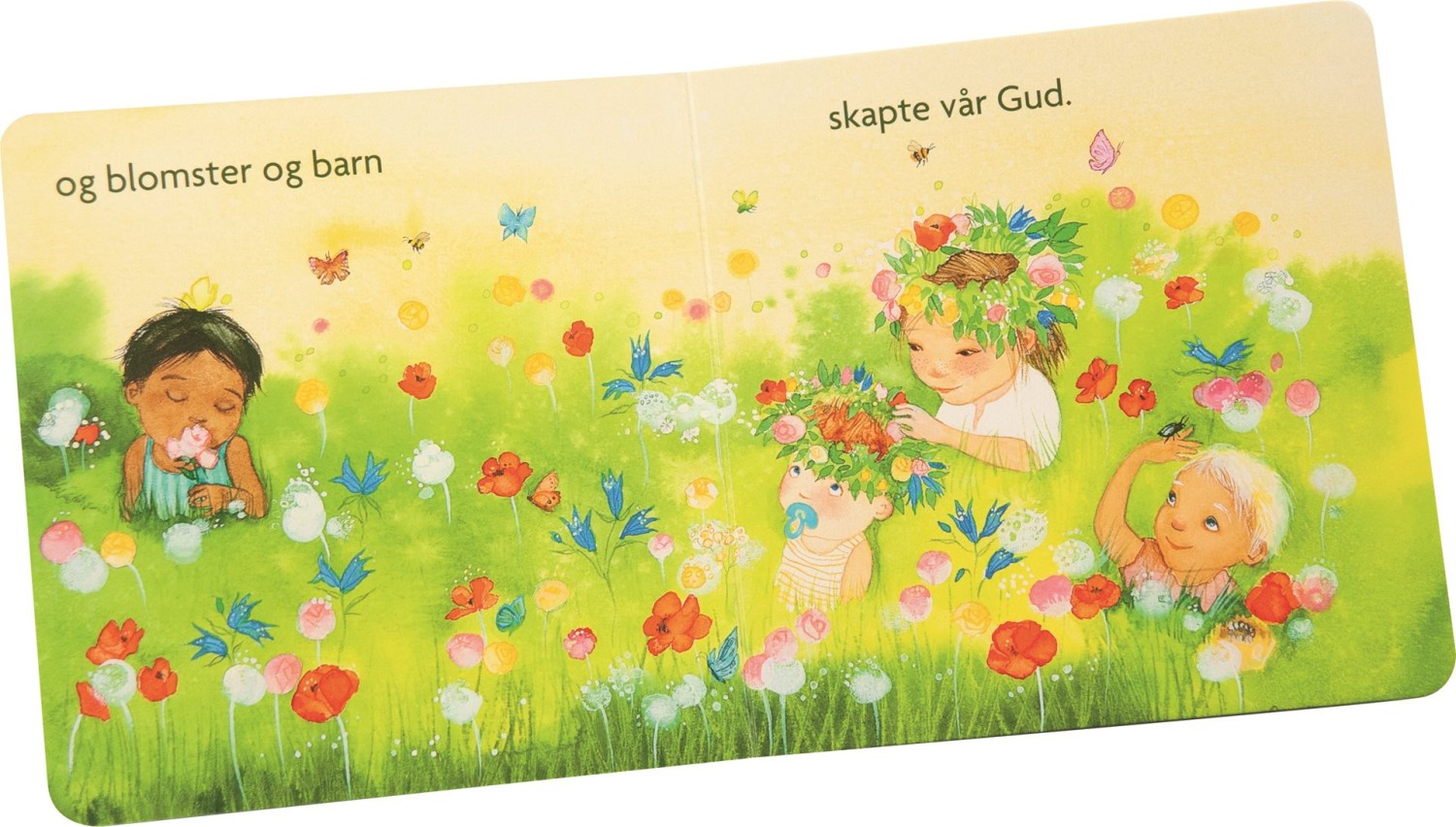 gallery-505-for-103073