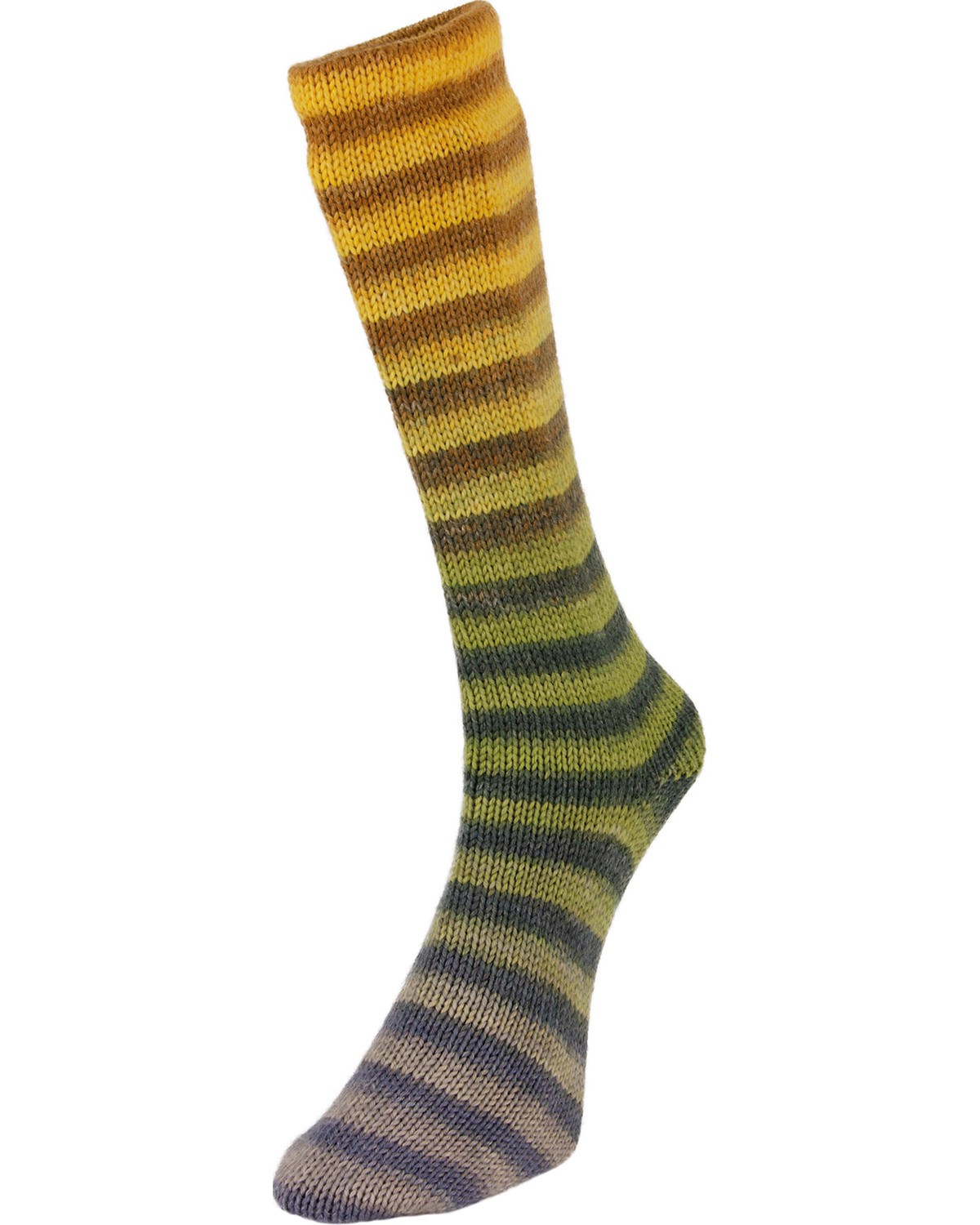 gallery-518-for-126901