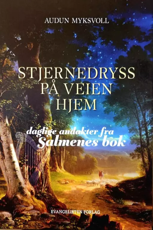 Stjernedryss på veien hjem