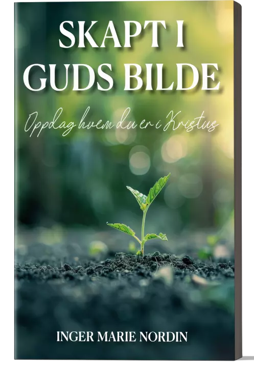 Skapt i Guds bilde - Oppdag hvem du er