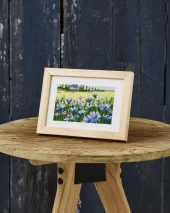 KORNBLOMSTER Bilde 10x15 cm