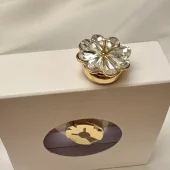 PYNTEKNAPPER Clip on (M)