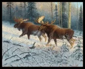 MOOSE IN THE FOREST Panel