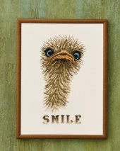 SMILENDE STRUTS Bilde 18x24 cm