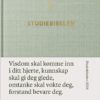 Bibel 2024 Studiebibelen