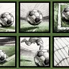 GOALBOUND Panel