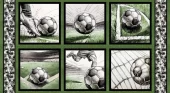 GOALBOUND Panel
