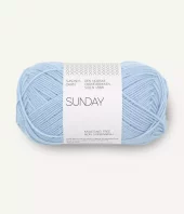 SUNDAY  5812 Brunnera Blue