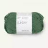 SUNDAY 8073 Elm Green