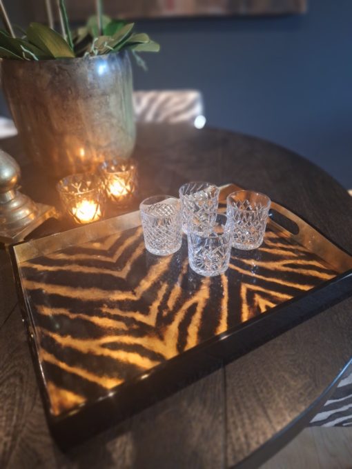 Wild Kingdom Tray