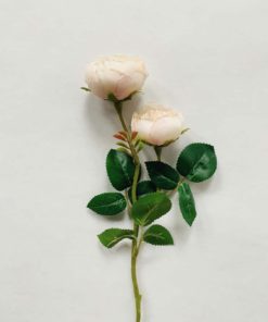 Rose 46 cm creme