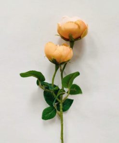 Rose 46 cm peach