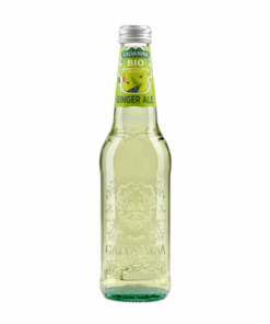 Galvanina Ginger Ale ITA 355ml