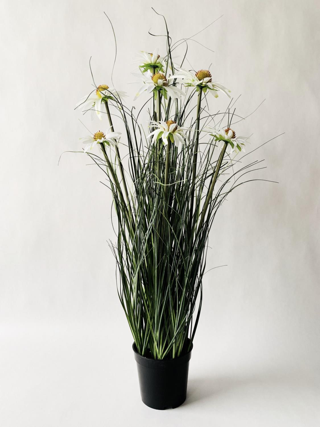 Strå Med Hvite Blomster H:72cm