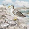 Napkin Lunsj Seagull On The Shore