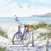 Napkin Lunsj Bike at the Beach
