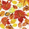 Lunsj Servietter Leaves