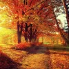 Ambiente Lunsj Servietter "Autumn Park"
