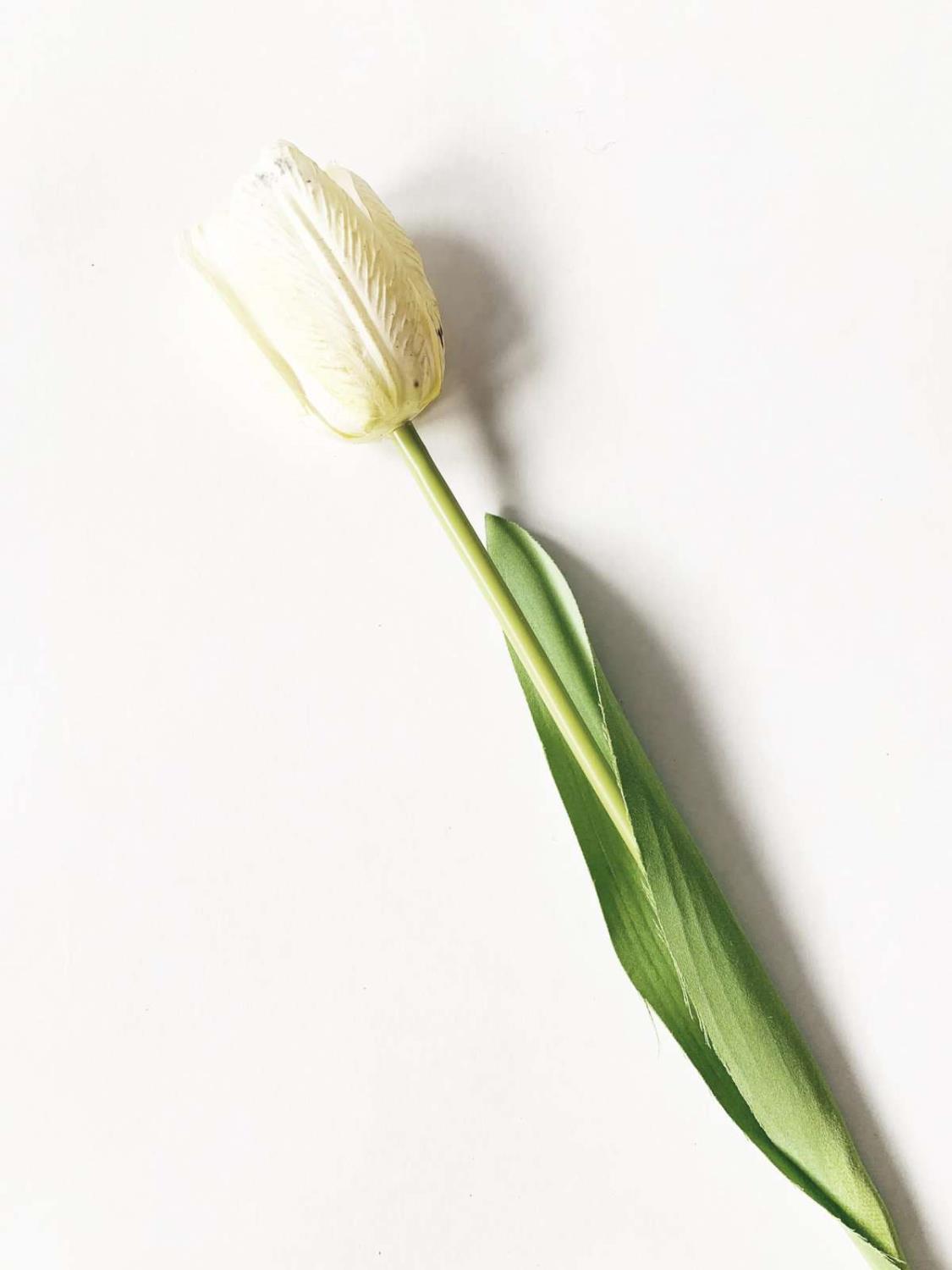 Trend Design Tulipan, Hvit 48cm