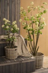 gallery-1191-for-102581