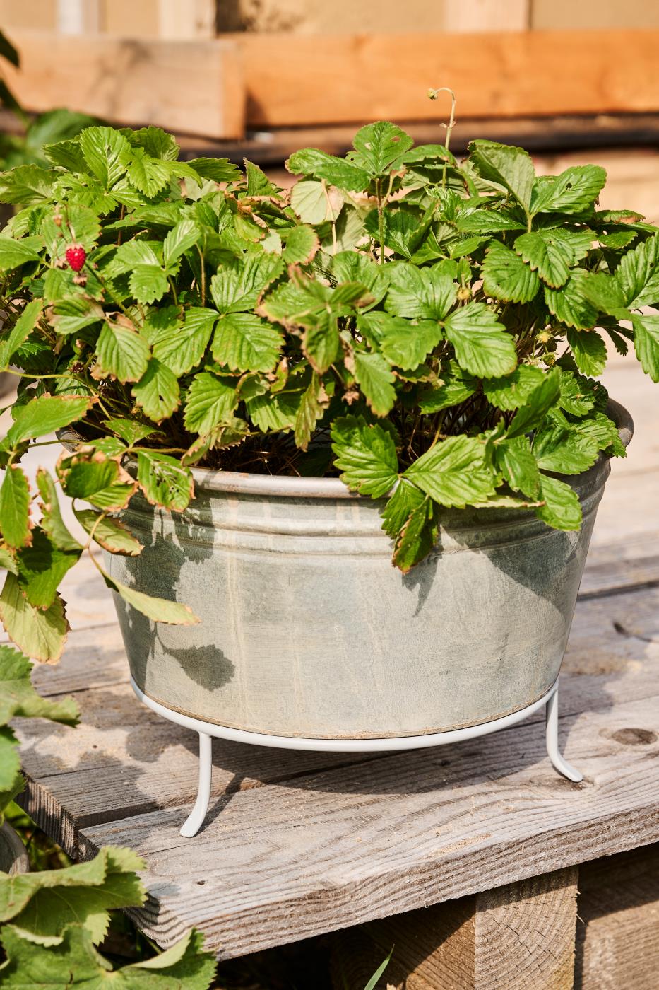 IB Laursen Understell med Føtter Til Potteskjuler eller Kurver