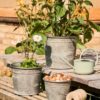 IB Laursen Potteskjuler,  sett à 3,  Urban Garden