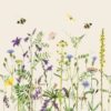 IB Laursen Serviett Sommer 50 stk per pakke - 40x40cm
