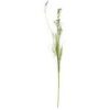 IB Laursen Blomst 2 typer lilla blomster