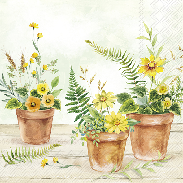 Ihr Cocktail Servietter "Plant in pots"