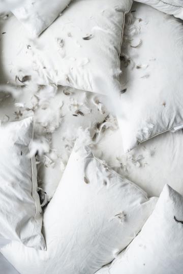 gallery-1575-for-102945