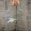Trend Design Papirblomst anemone 150 cm gul