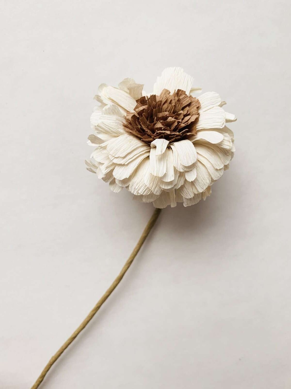 Trend Design Papirblomst gerbera 30 cm creme