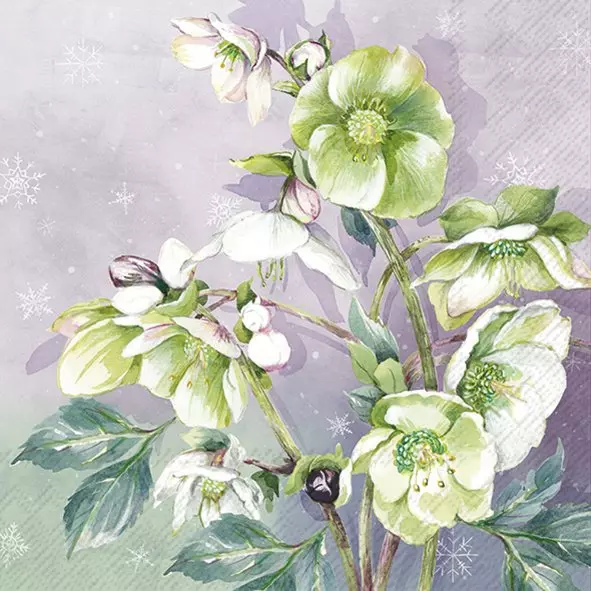 IHR Servietter Winter Bouquet Light Lilac Lunch - 33x33cm - Papir
