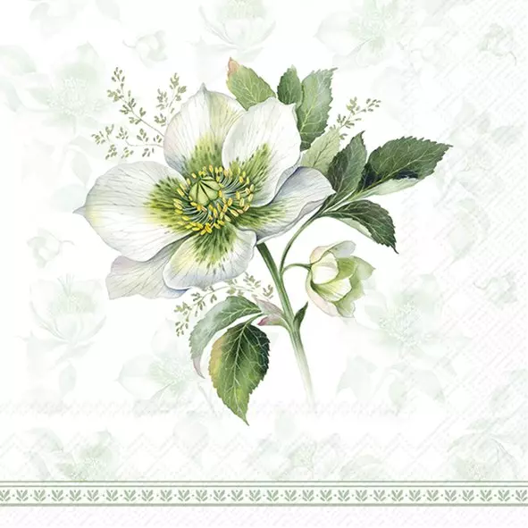 IHR Servietter Classic Christmas Rose Green Kaffe - 25x25cm - Papir