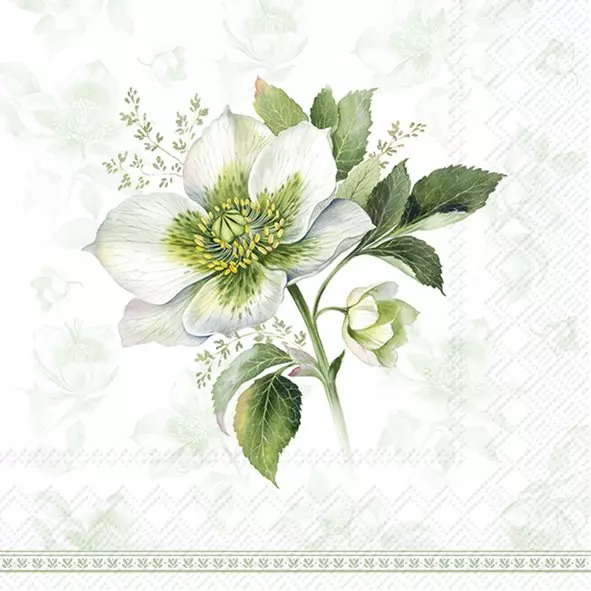 IHR Servietter Classic Christmas Rose Green Lunch - 33x33cm - Papir