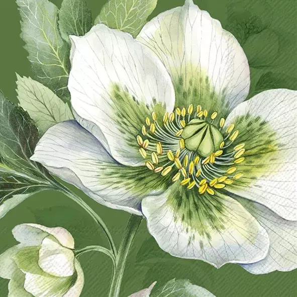 IHR Servietter Elegant Christmas Rose Green Lunsj - 33x33cm - Papir