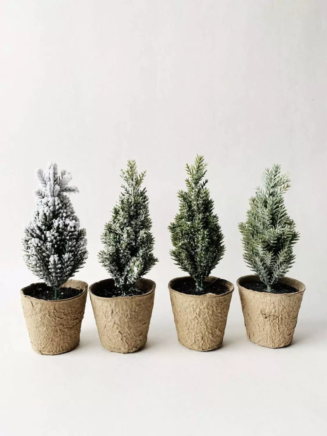 Trend Design Bartre i potte 17 cm display