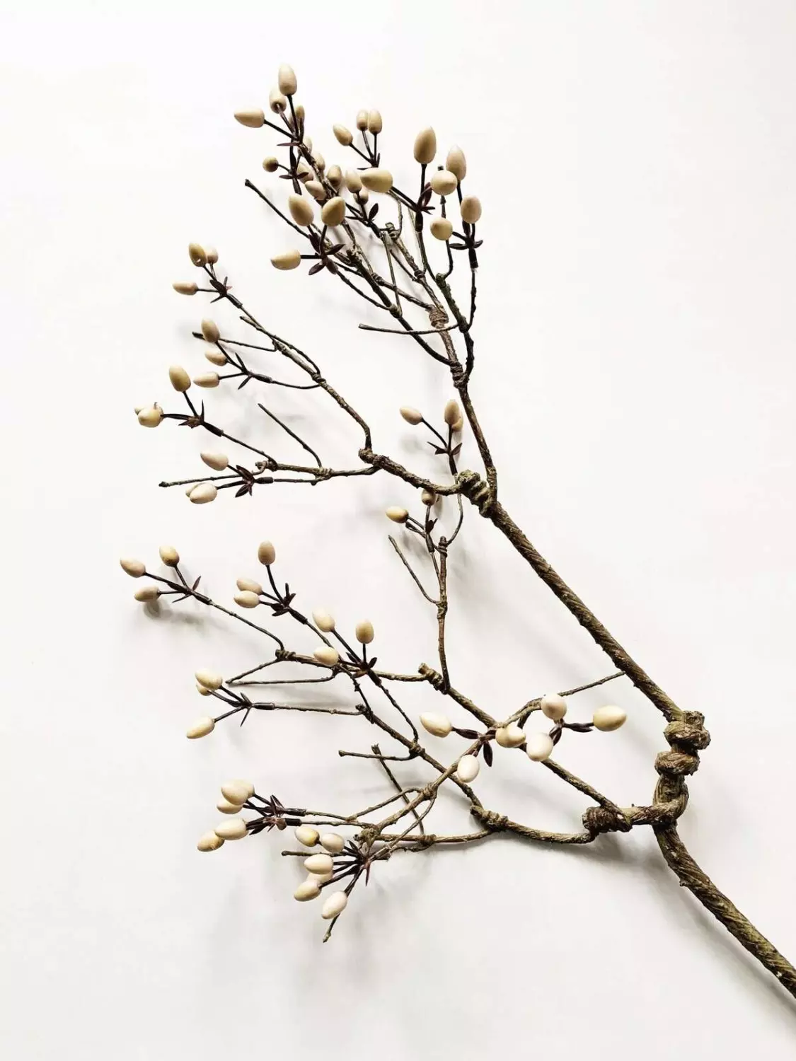 Trend Design Gren m bær 85 cm creme