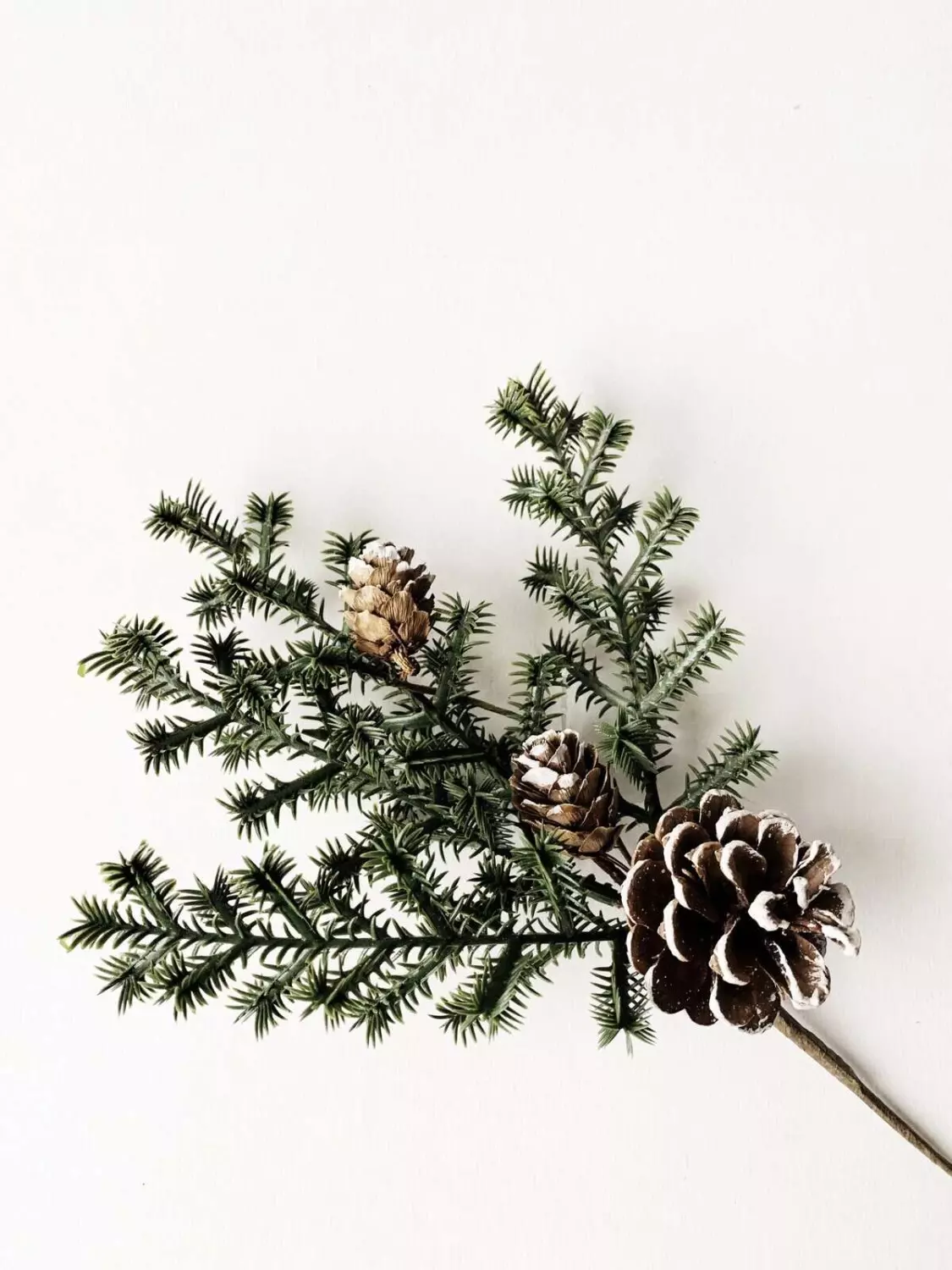 Trend Design Kvist med kongler og glitter, 30cm