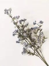 Trend Design Engblomst 72 cm