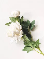 Trend Design Krysantemum 70 cm